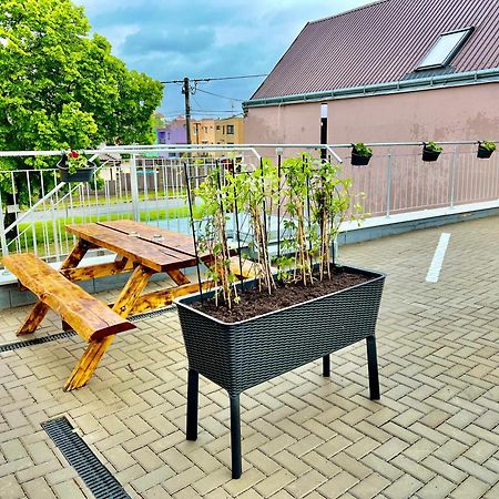 Penzion Bazen Vino Sklep U Palecku Zaječí Exteriör bild